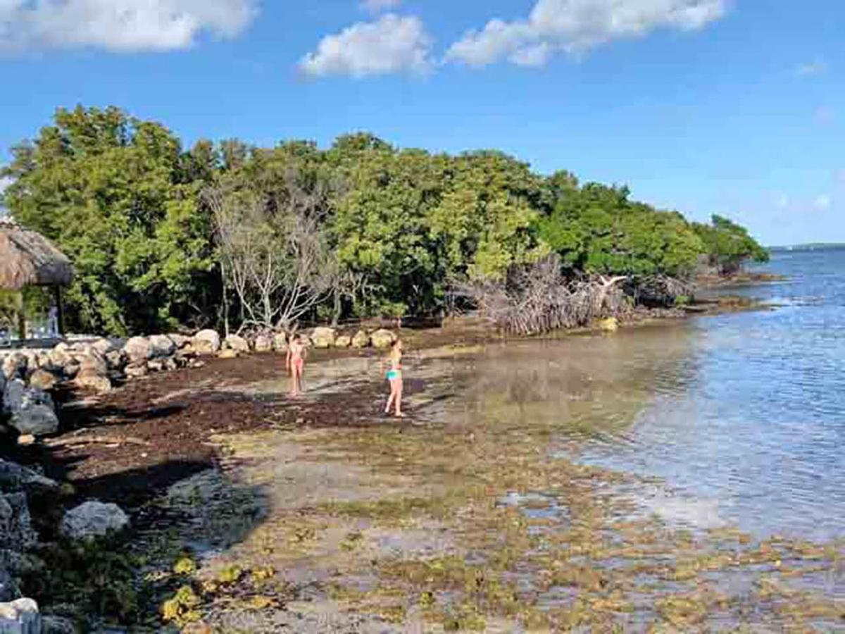 SEA MIST - Oceanfront-Lake-Kayak-Paddleboard-Bike Key Largo Bagian luar foto