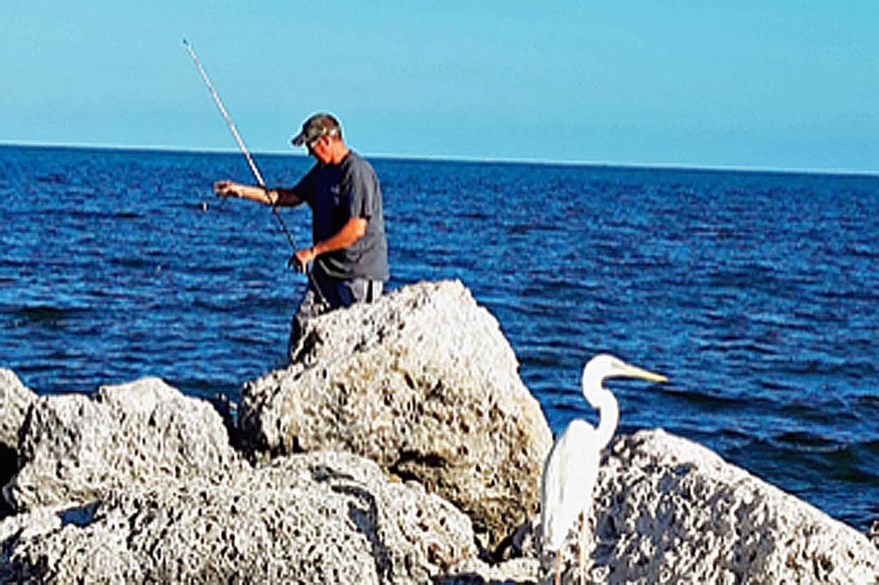 SEA MIST - Oceanfront-Lake-Kayak-Paddleboard-Bike Key Largo Bagian luar foto